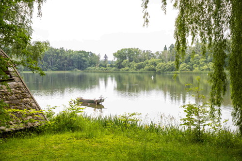 Biologisch bewirtschafte Naturteiche im nördlichen Waldviertel.
