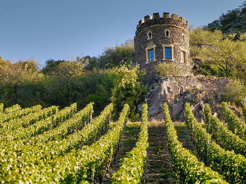 Weingut Helmut Dönnhoff
