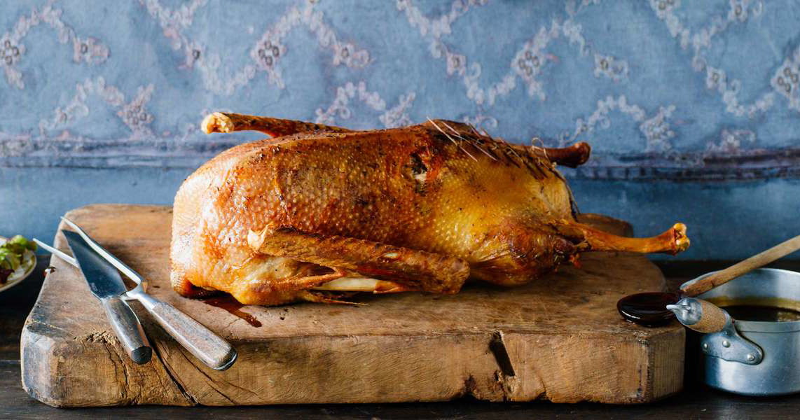 Shutter Gans Sichere Landung: Falstaff lässt die Gans nachhause flattern - Falstaff