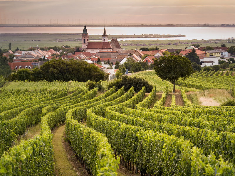 Rust am Neusiedlersee erhält mit »DAC« nun eine&nbsp;gesetzlich geschützte Herkunftsbezeichnung.