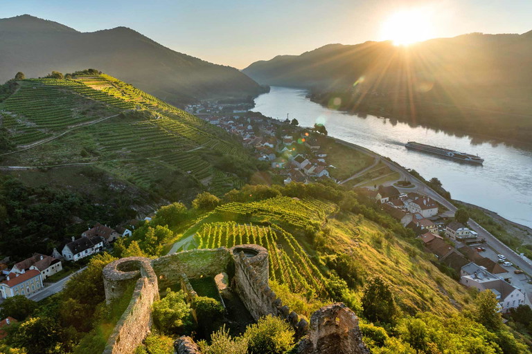 Auch in Niederösterreich gibt es eine Vielzahl begehrenswerter (Wein)-Wanderwege.