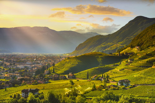 Im Herbst ein Traum: die Weinberge der Südtiroler Weinstraße.