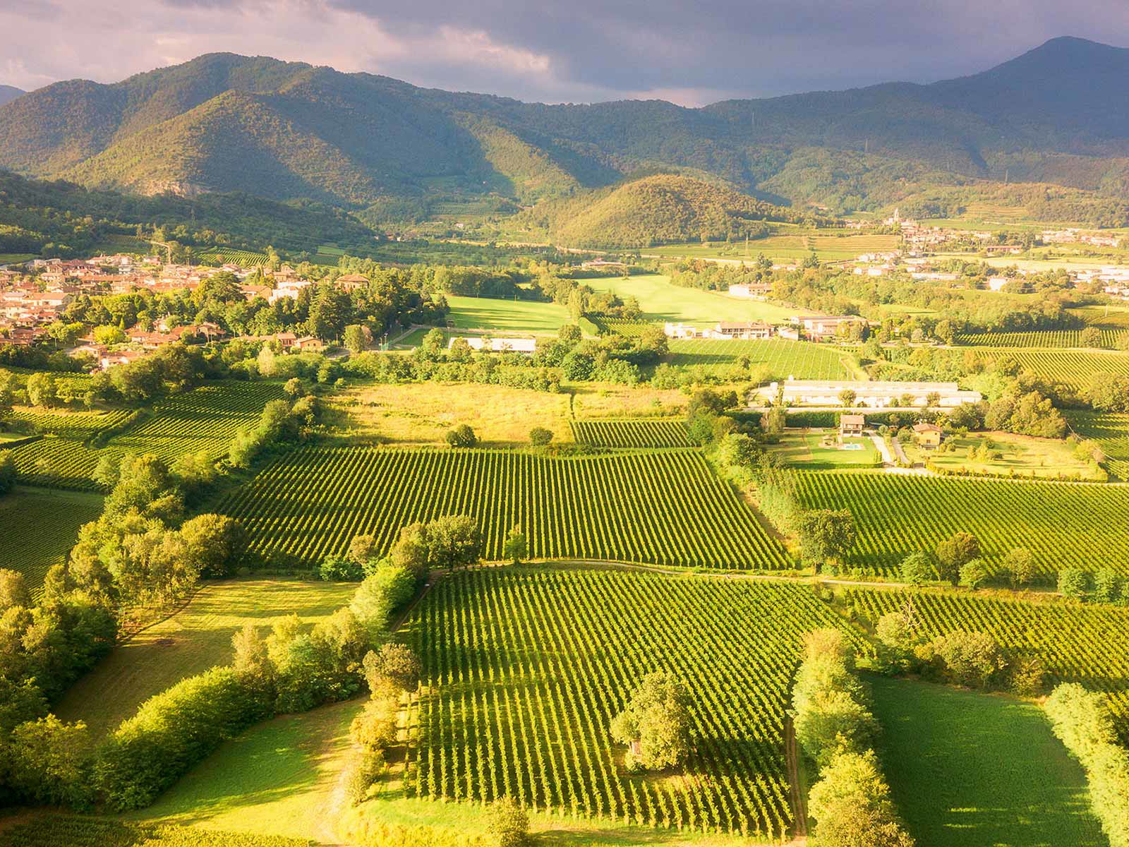 Franciacorta