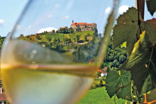 Das klimatisch bevorzugte Thermen- und Vulkanland bringt saftige, körperreiche Vertreter der Sorte Sauvignon Blanc hervor.