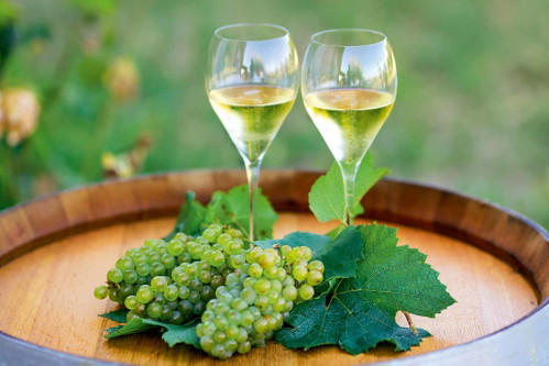 Franciacorta setzt auf Bio: Im Interview verrät Präsident des Konsortiums Franciacorta und Leiter des Weinguts Barone Pizzini, Silvano&nbsp;Brescianini, warum Biodiversität der Antrieb für die Zukunft ist.
