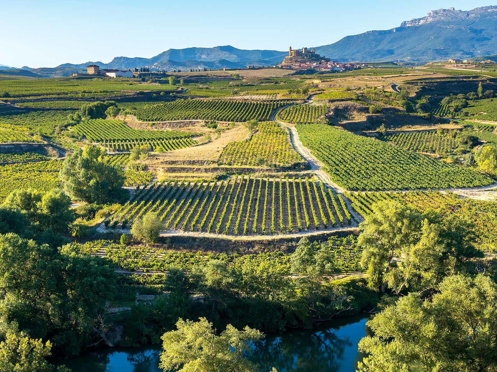 Der Schwerpunkt der Cava-Produktion liegt in Katalonien, wo sich die meisten Weinbauorte befinden.