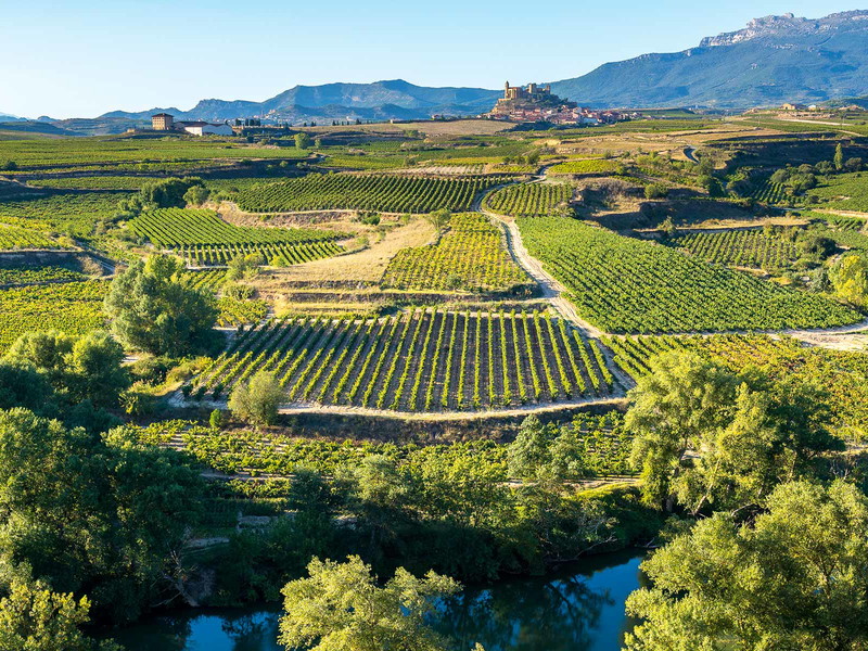 Der Schwerpunkt der Cava-Produktion liegt in Katalonien, wo sich die meisten Weinbauorte befinden.