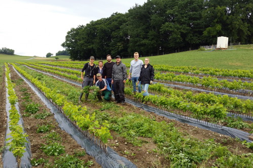 Das Weingut Lenz in Uesslingen gehört zu den bekanntesten Biobetrieben der Schweiz und hat der Lage Iselisberg Aufmerksamkeit verschafft.