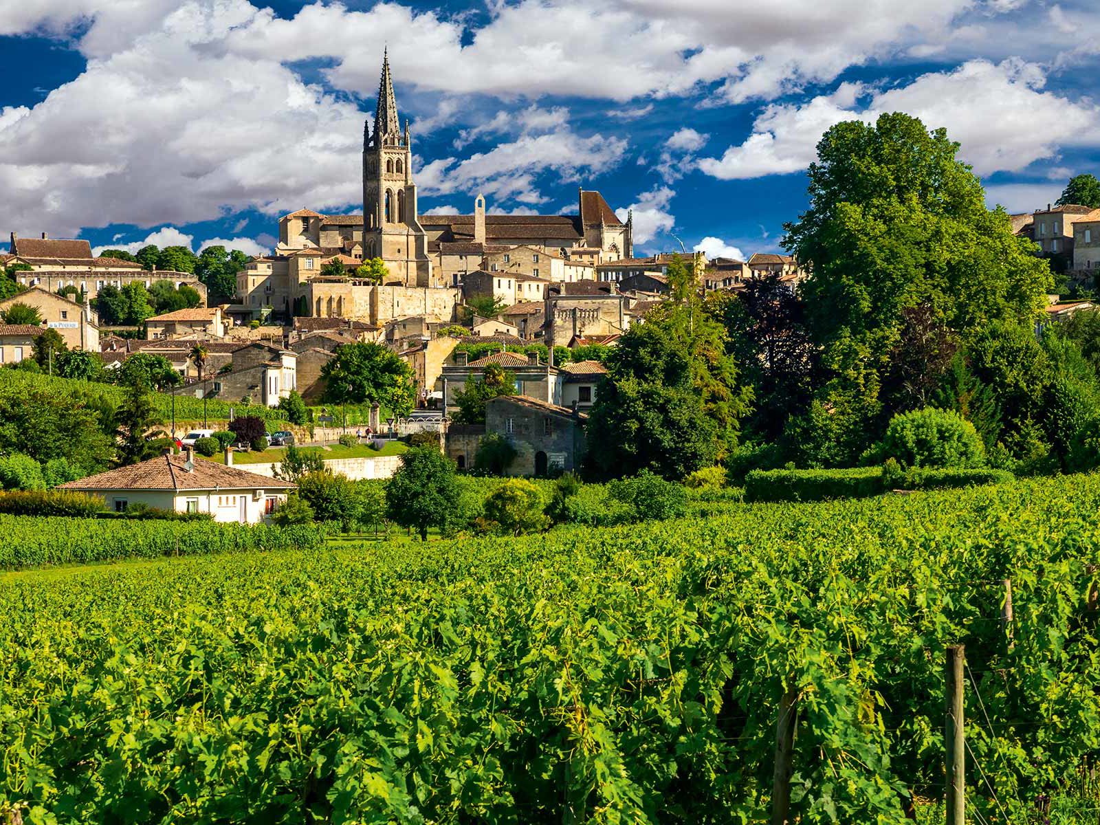 &nbsp;Saint-Émilion profitiert vom Kalkstein, der einen außergewöhnlichen Boden für die Weinberge bietet