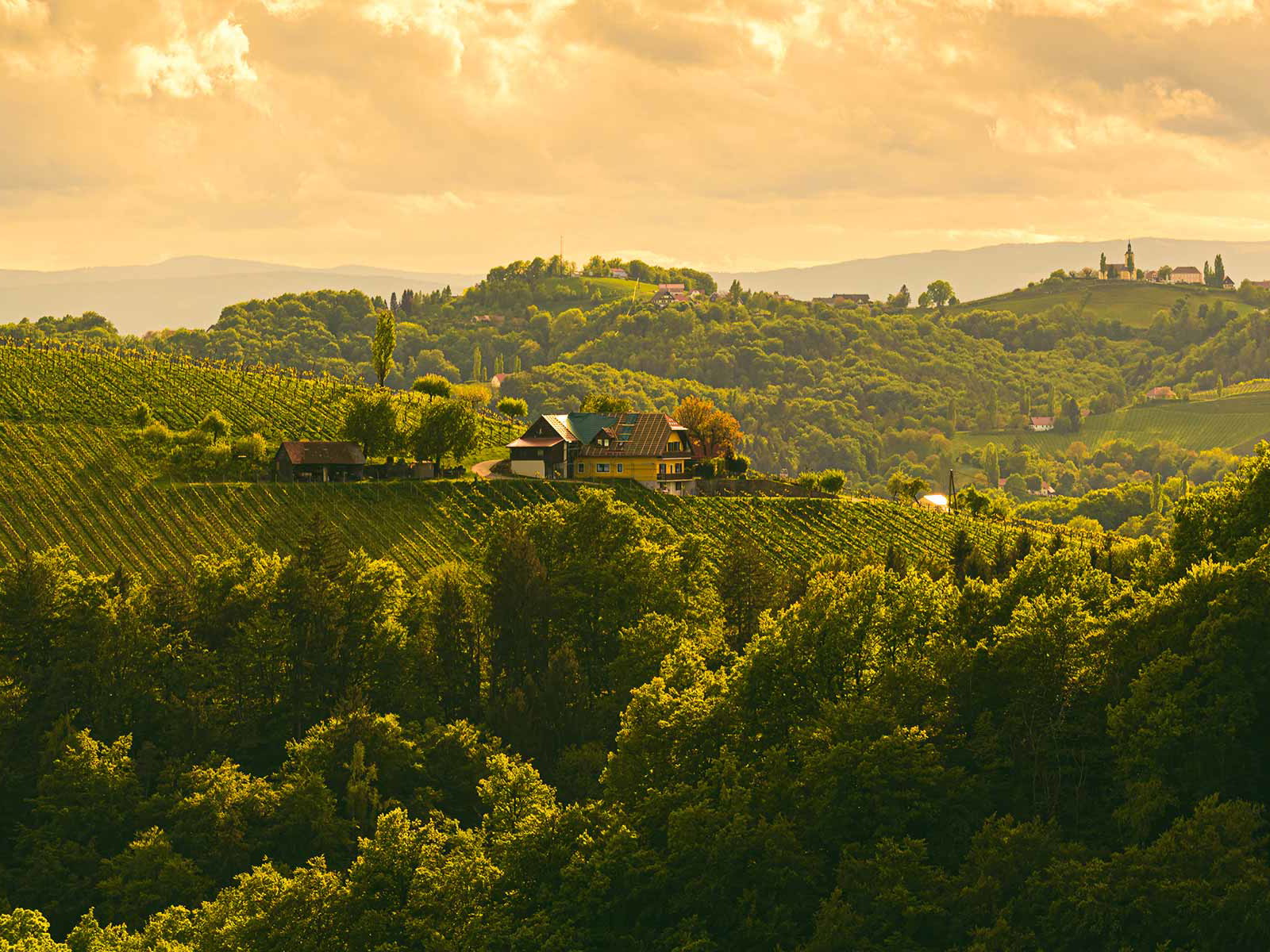Die sonnigen Hügel der Südsteiermark liefern die Basis für eine Vielzahl an spannenden Sekten.