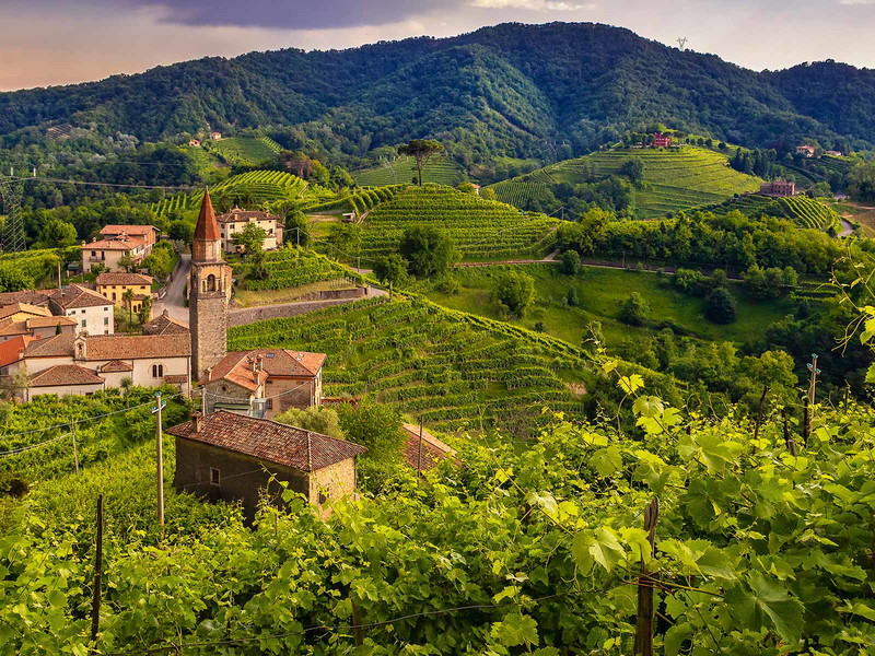 Prosecco eroberte in den letzten Jahren die Welt und machte Venetien zur führenden Schaumweinregion Italiens.