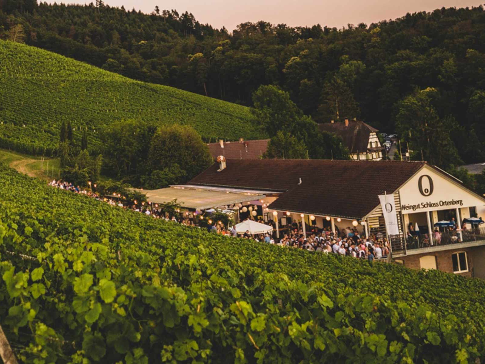 Das Weingut Schloss Ortenberg ist ab April 2021&nbsp;Teil der Althoff-Gruppe.