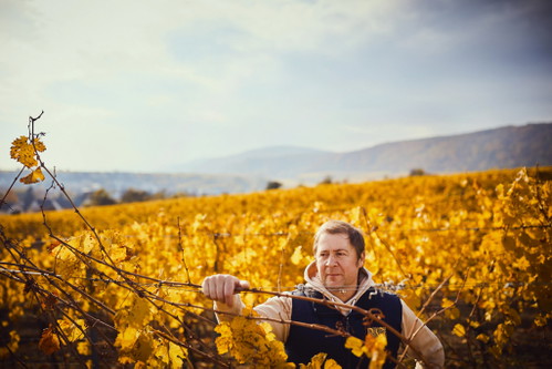 Stephan Attmann, Weingut von Winning: Kirchenstück aus dem Holzfass.