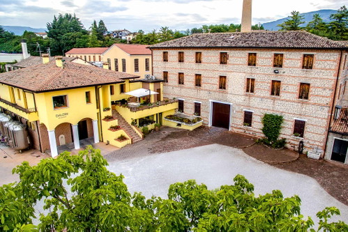 Das Weingut der Familie Dal Din