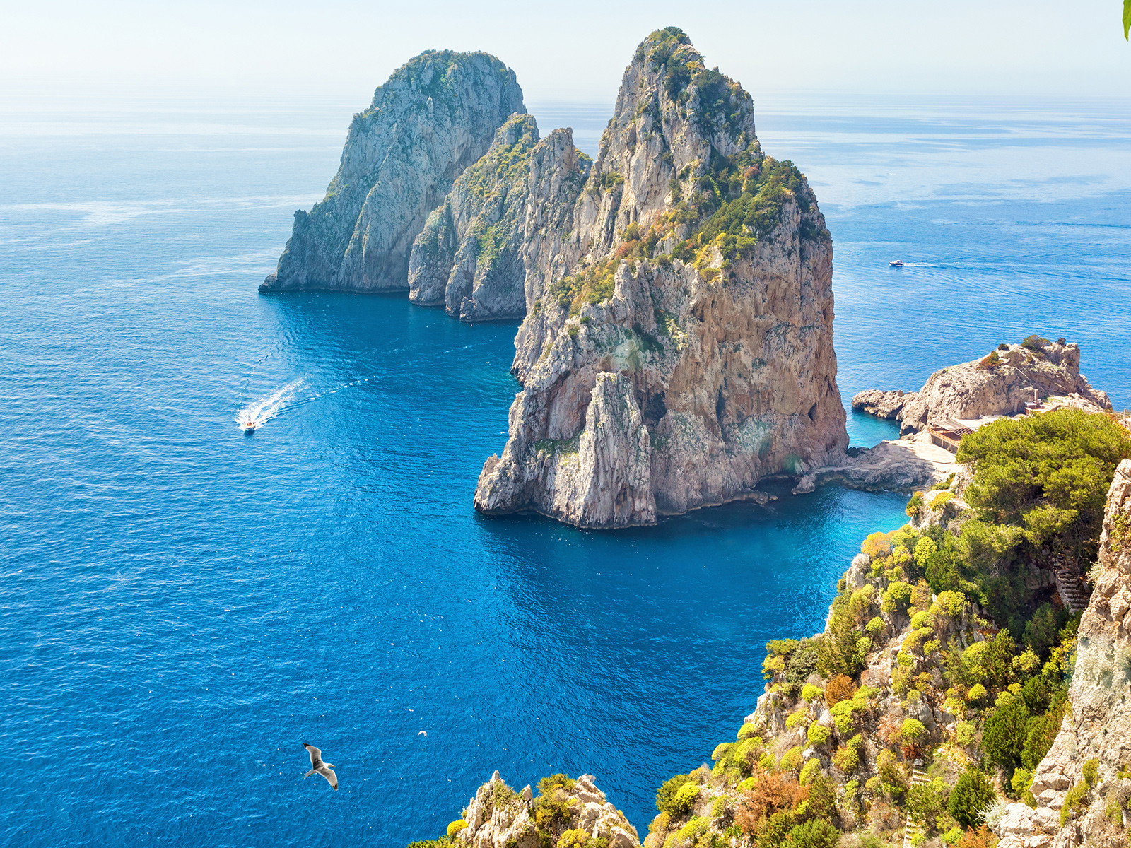Limoncello di Capri ist ein Klassiker der italienischen Spirituosen.&nbsp;Molinari ist die bekannteste Hersteller des Likörs.