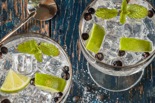 Es sind vor allem die ätherischen Öle, die Wacholder zu einem hervorragenden Botanical für Gin machen.