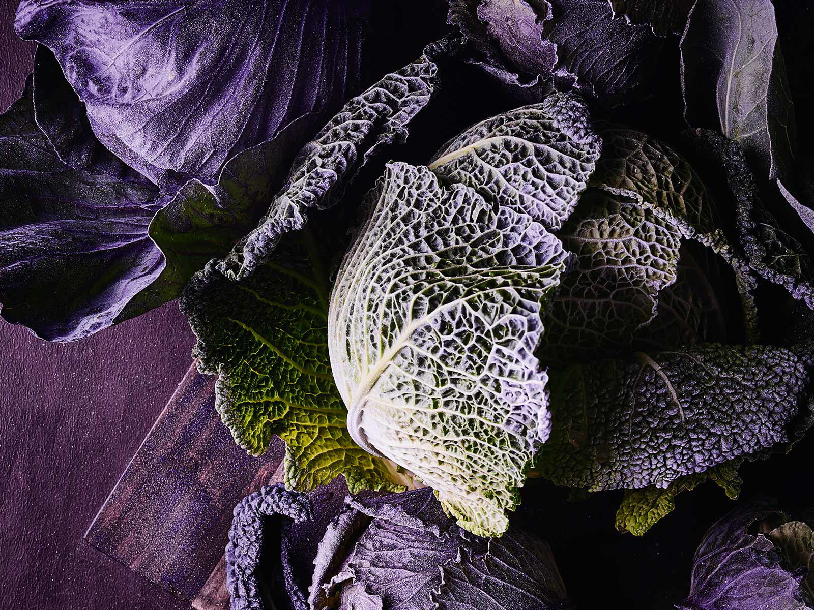 Kohl und Kraut: Köstliches Wintergemüse