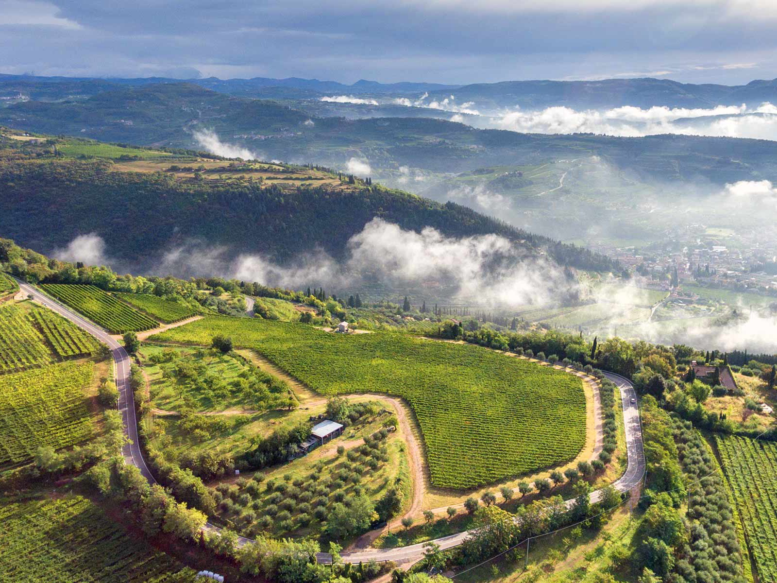 Weite Täler und sanfte Hügel kennzeichnen die Weinlandschaft des Valpolicella – hier entstehen Amarone und Recioto.