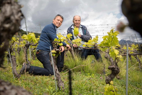 Syrah-Liebhaber: Weinmacher Gilles Besse und sein Onkel Jean-René Germanier.
