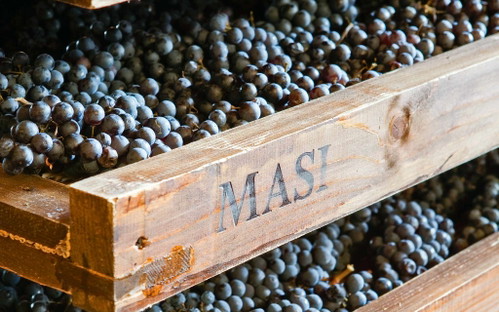 Sowohl bei Masi als auch bei...