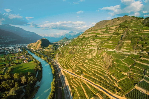 Die Rhône, der prägende Strom für die Winzer im Wallis. Hier gesäumt von Rebterrassen bei Sion.&nbsp;