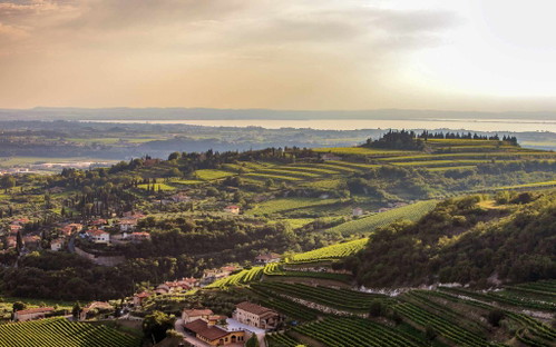 Prächtiger Ausblick: Das Classico-Gebiet im Westen des Valpolicella bietet eine faszinierende Sicht auf den Gardasee.&nbsp;