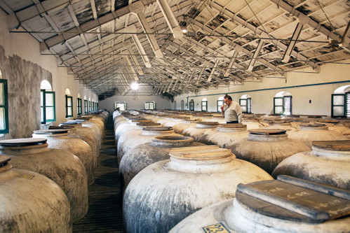 Ausbau im Tongefäss in der Kellerei Pérez Barquero in Montilla-Moriles.