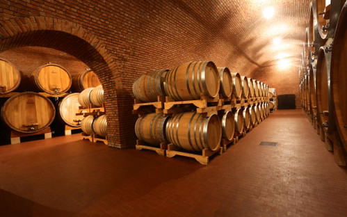 Amarone-Trauben werden schon vor der Haupternte ausgelesen. Viele Weine reifen dann in Barriques oder im Tonneaux.&nbsp;