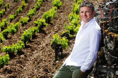 Der Spanier Alvaro Palacios bereitete den Weg für superlative Rotweine aus Priorato und El Bierzo.