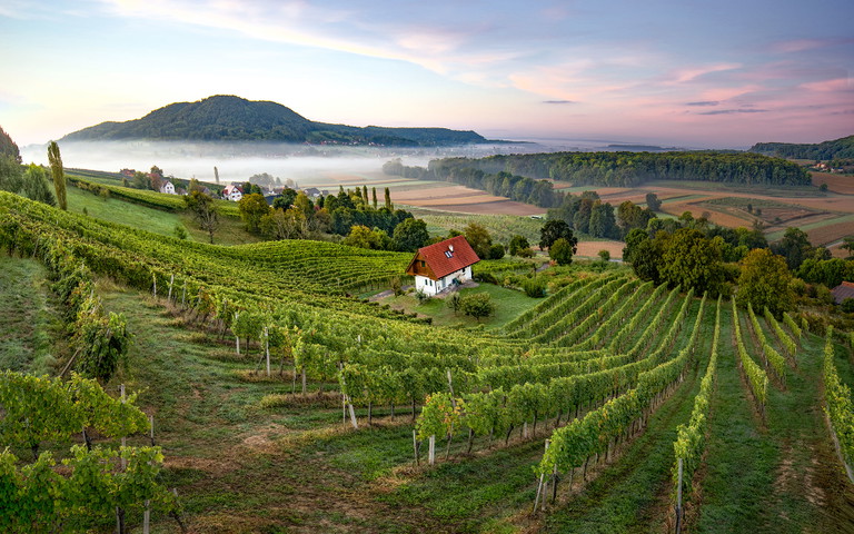 Der Aunberg in Tieschen im Vulkanland Steiermark.&nbsp;
