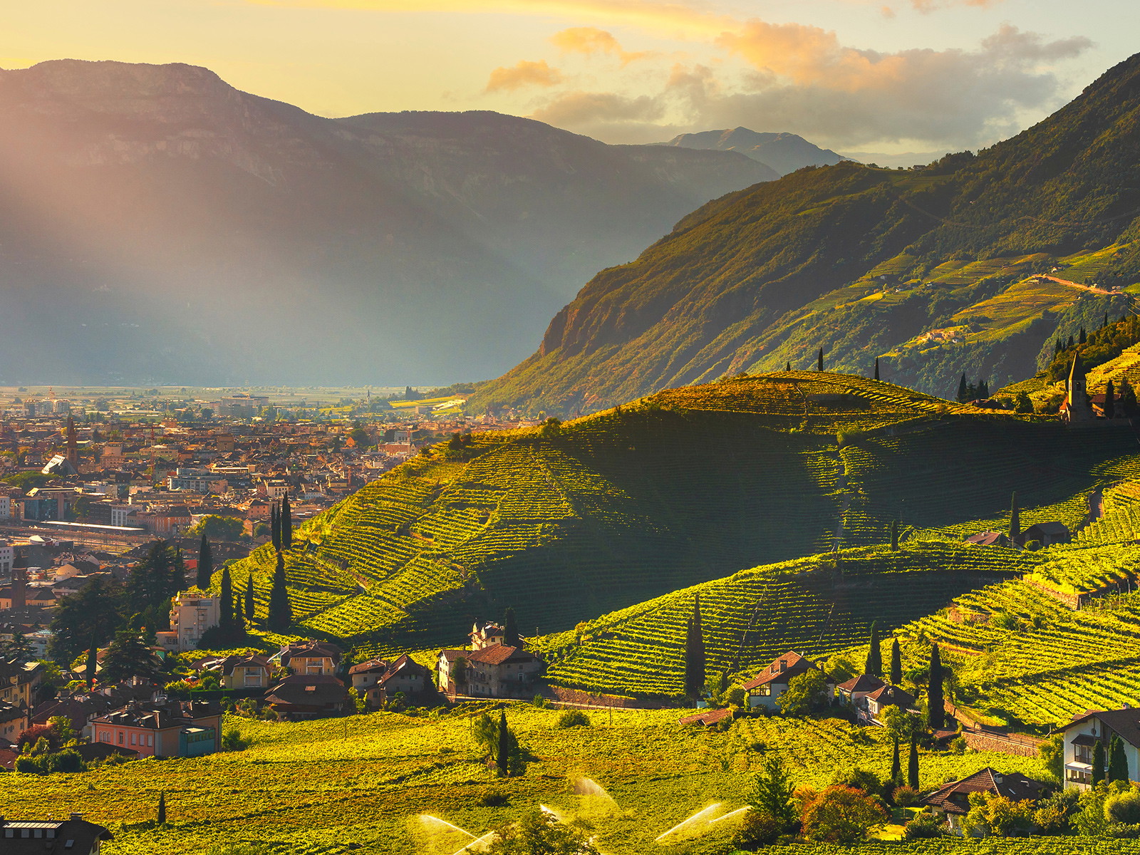 Die Weinberge vor Bozen bieten einen malerischen Blick auf die Südtiroler Hauptstadt.