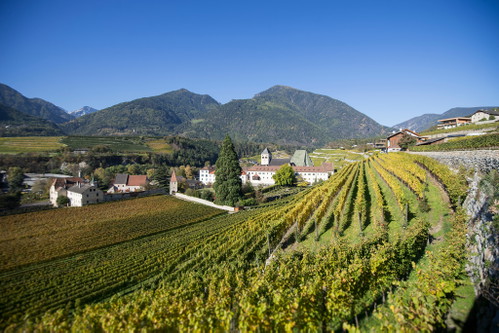 Brixen/Neustift: Weinbau rund um das Kloster Neustift.