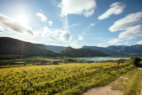 Der Kalterer See im Südtiroler Unterland.