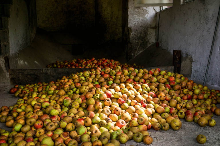 Von der Streuobstwiese geht es in den Keller. Danach...