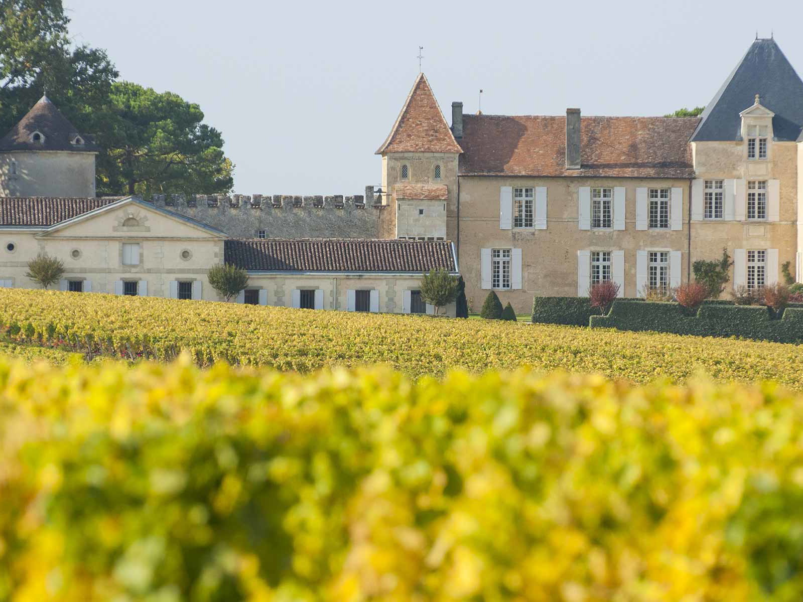 Château d’Yquem