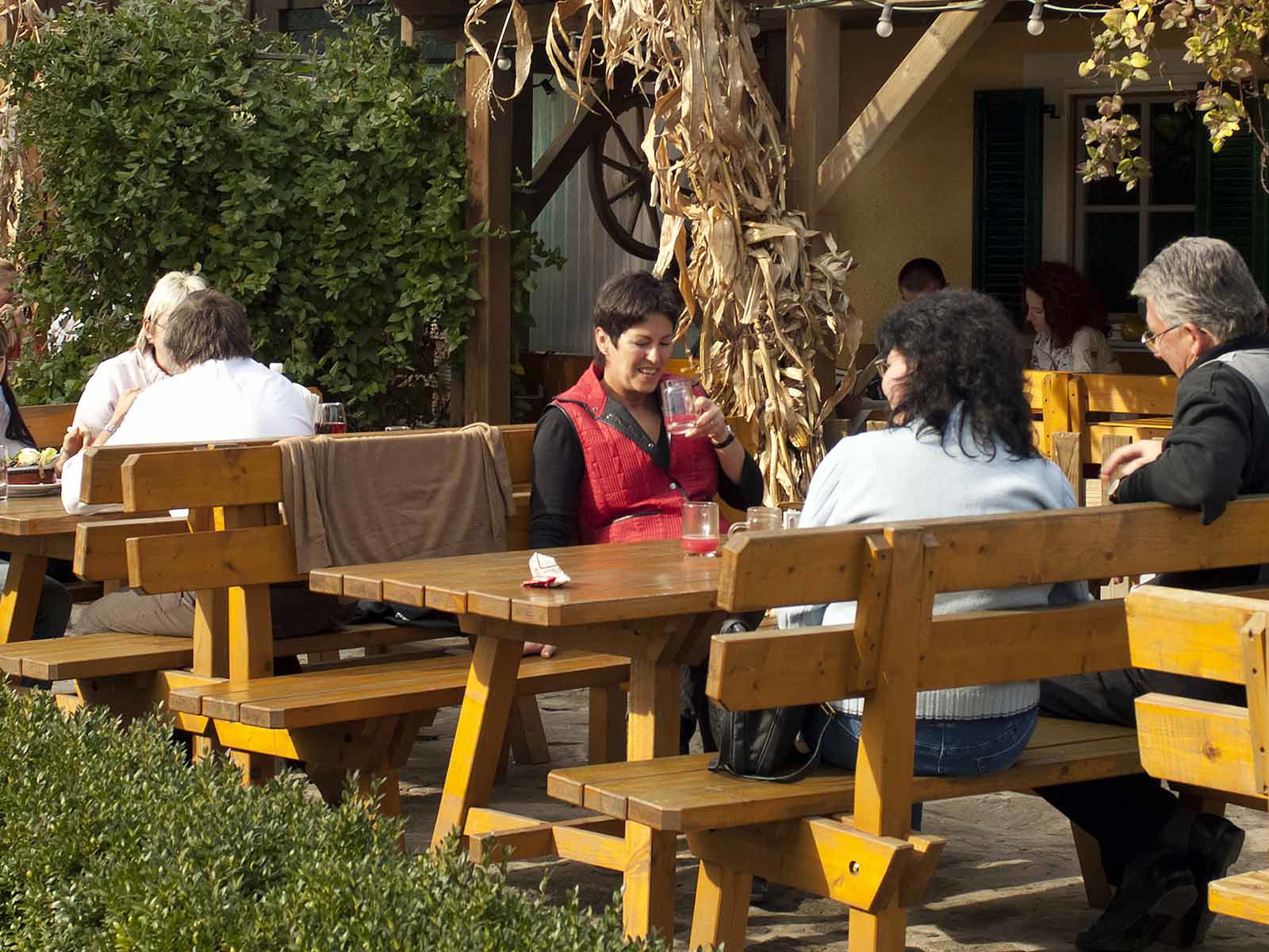 Symbolfoto Buschenschank