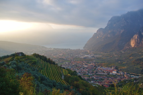 Der südlichste&nbsp;Teil des Trentino grenzt an den Gardasee: Hier wird hauptsächlich Weisswein angebaut.