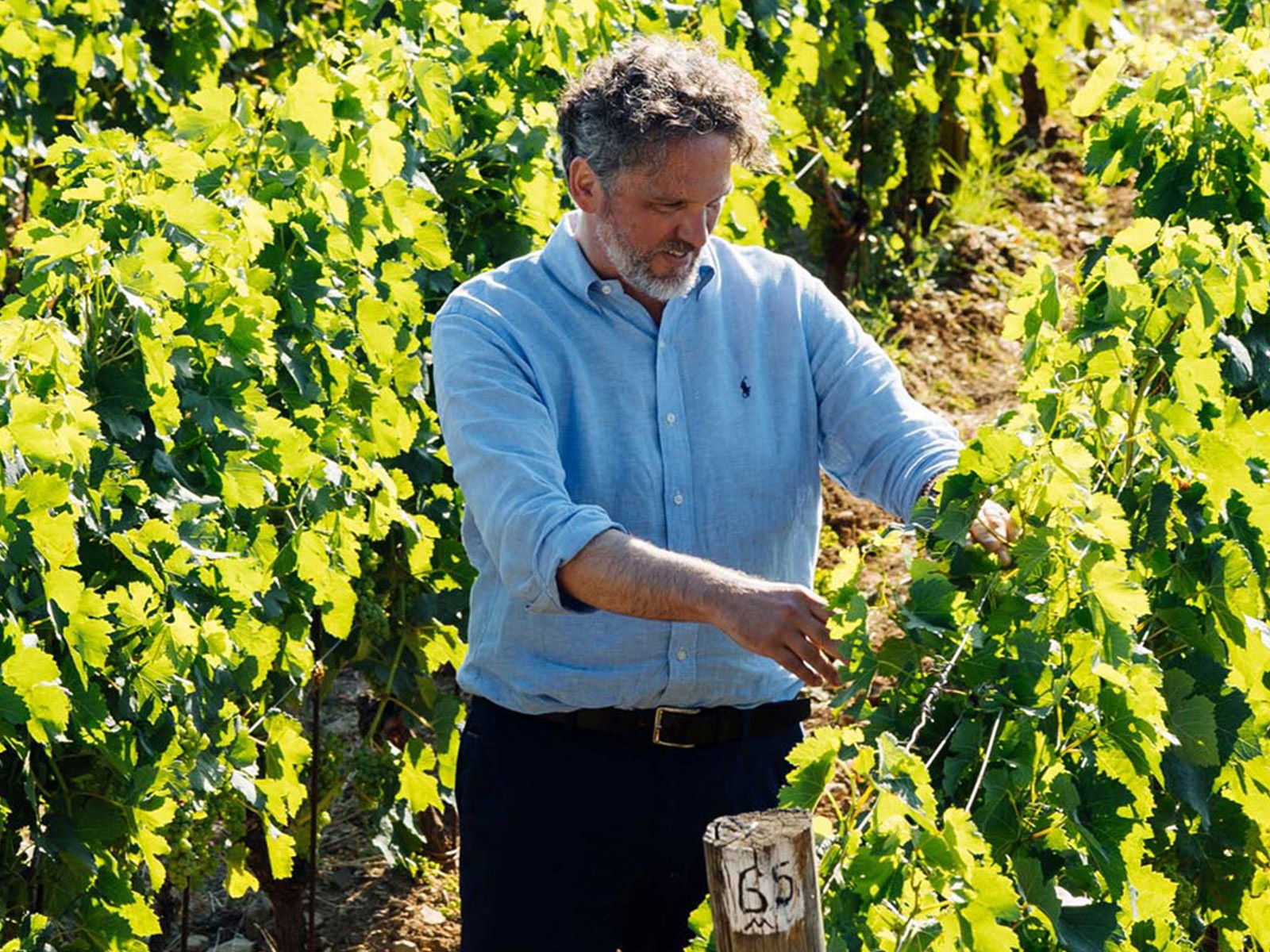 Axel Heinz wird neuer CEO des Château Lascombes. 