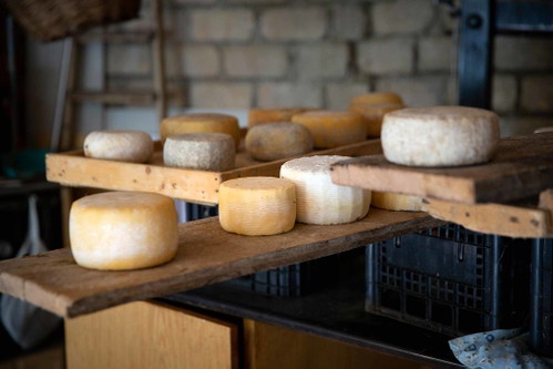 Was dem Norden Italiens der Grana, das ist den südlicheren Regionen der Pecorino – nur echt, wenn er ohne Kuhmilch auskommt.