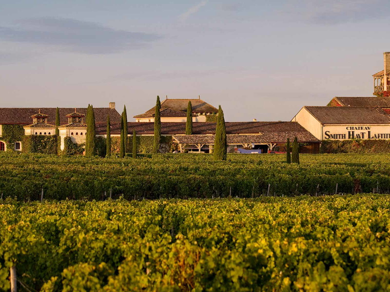 Château Smith Haut Lafitte