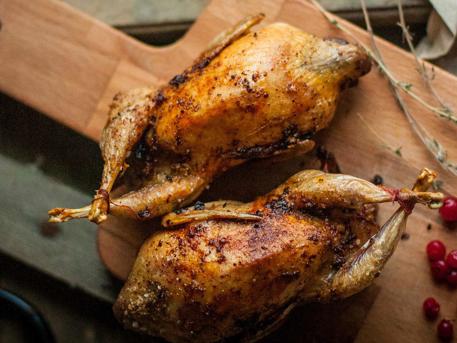 Wachteln und ihre Eier sind unter Gourmets sehr begehrt.