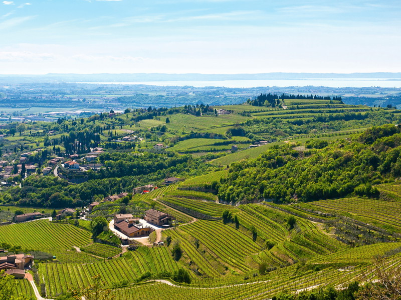 Hanglagen mit Terrassen sind charakteristisch für das südöstlich vom Gardasee gelegene Valpolicella.&nbsp;