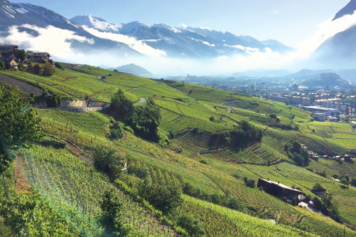 Das Walliser Weingut Histoire d’Enfer orientiert sich bei seinen Weinen an den Grands Crus des Burgunds. Den Pinots Noirs ist dies deutlich anzuspüren.