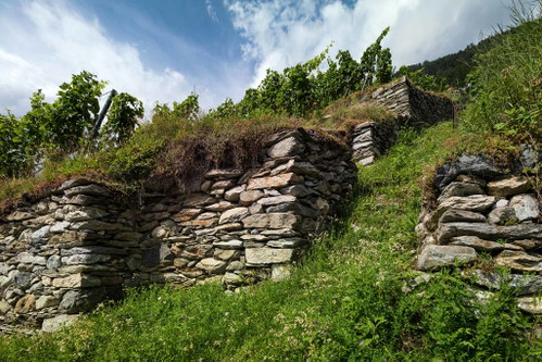 Granitböden: das Geheimnis des Dôle vom Weingut Gérald Besse. Laut Sarah Besse sorgen sie für eine lebendige Säure im Wein. Und die braucht der Dôle.