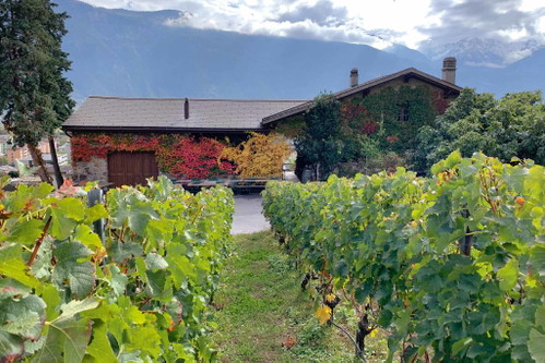 Nichts weiter als Pinot Noir und Gamay, biodynamisch produziert. So lautet das Rezept für den Ausnahme-Dôle von Marie-Thérèse Chappaz.