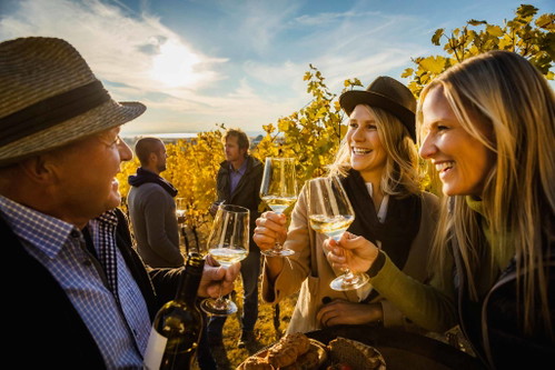 Gelebte Weinkultur: Das Gebiet am Westufer des Neusiedler Sees ist die Keimzelle des burgenländischen Weinbaus.