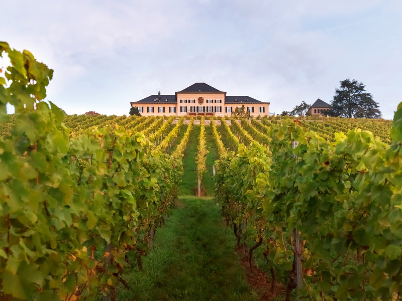 Die Domaine Schloss Johannisberg