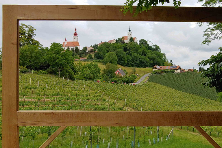 Das Bio-Weingut liegt in Straden.