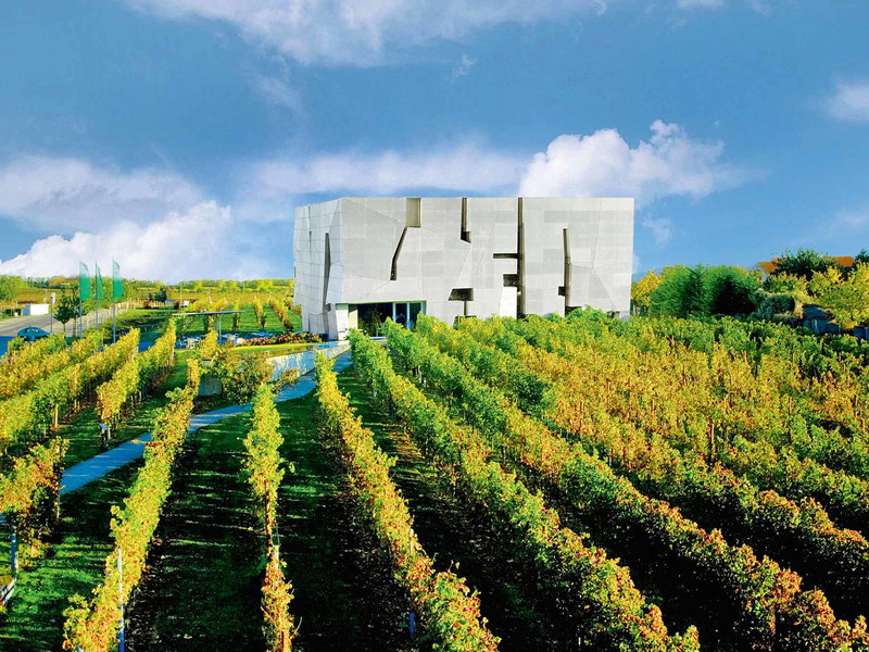 Stararchitekt Steven Holl setzte das «Loisium» mitten in die Weingärten von Langenlois.