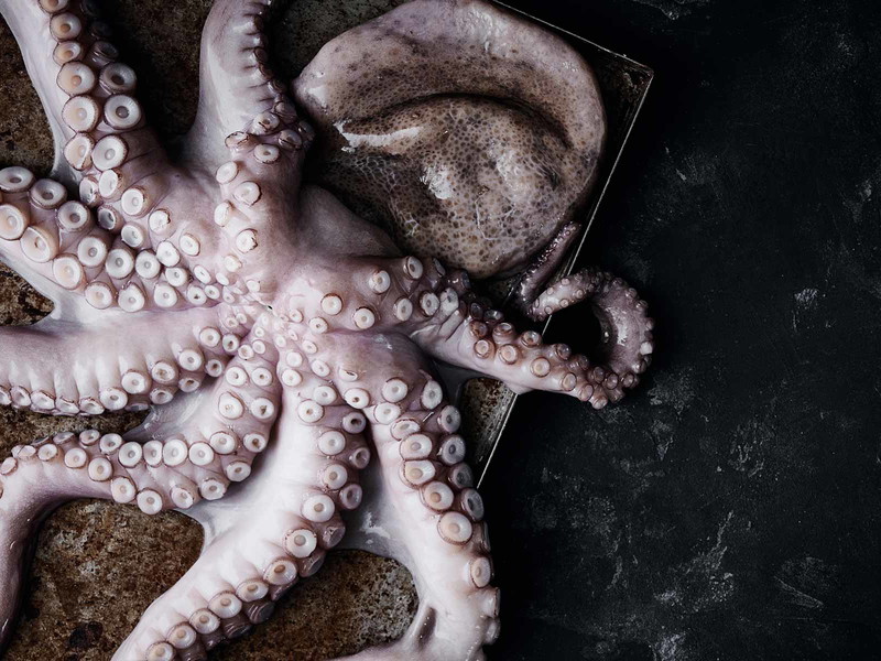 Foodstyling: Gitte Jakobsen